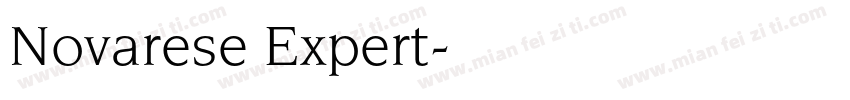 Novarese Expert字体转换